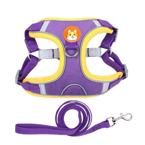 Adjustable No-Pull Dog Harness for Small and Medium Dogs, Comfortable Reflective Vest with Leash Set and Dual Clips, Secure and Lightweight Pet Walking Gear