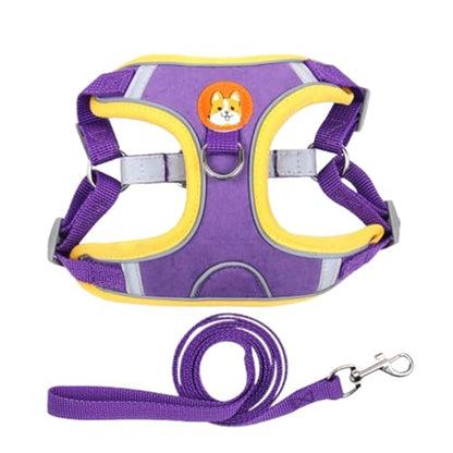 Adjustable No-Pull Dog Harness for Small and Medium Dogs, Comfortable Reflective Vest with Leash Set and Dual Clips, Secure and Lightweight Pet Walking Gear