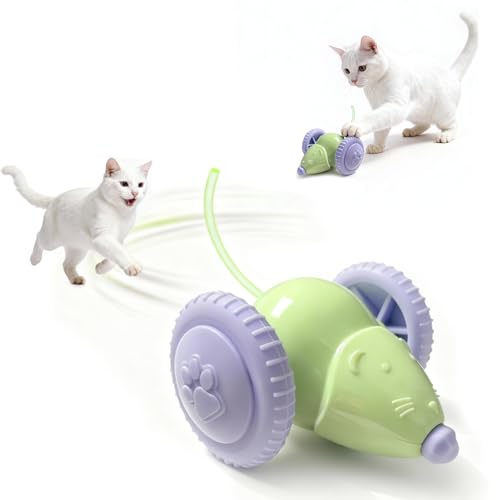 Interactive Cat Toys for Indoor Cats,Automatic Moving Kitten Toys,Cat Mouse Toy with Tail Lights,Cat Toys for Bored Indoor Adult Cats,Cat Enrichment,Smart Electric Tails for Chasing Pet Toys - color: Green