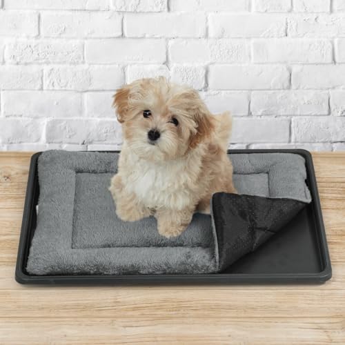 CAPHAUS Dog Pad with Tray for 24-Inch Crate, Mat with Non-Slip Bottom, Durable Plastic Tray and Machine-Washable Flat Dog Bed for Easy Cleaning - color: Tray & Dog Bed, size: Small