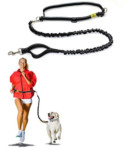 Hertzko Hands Free Dog Leash Great Running Leash for m=Medium to Large Dogs - Strong, Durable and Weather Resistant Nylon Bungee Leash (36 inches Bungee)