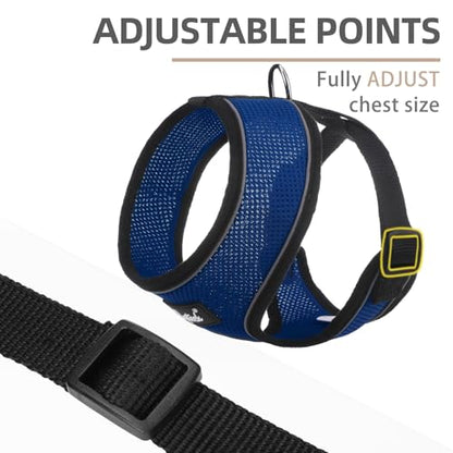 PUPTECK Soft Mesh Dog Harness and Leash Set Pet Puppy Cat Comfort Padded Vest No Pull Harnesses, Solid NavyBlue, XS - color: NavyBlue, size: XS (NECK: 10", CHEST: 10"-14")