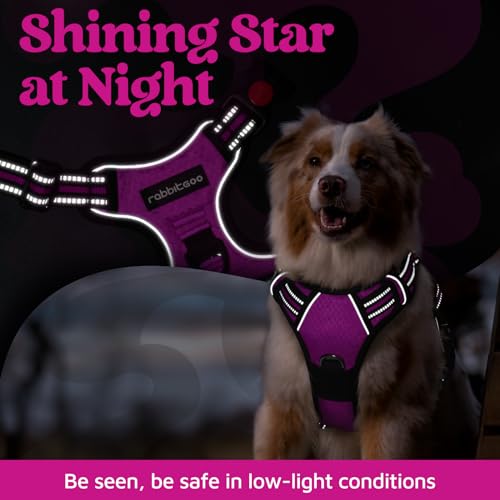 rabbitgoo Dog Harness Small Sized, No Pull Dog Vest with 3 Buckles, Adjustable Soft Padded Pet Harness with Easy Control Handle and Reflective Strips, Purple, S - color: Purple, size: Small