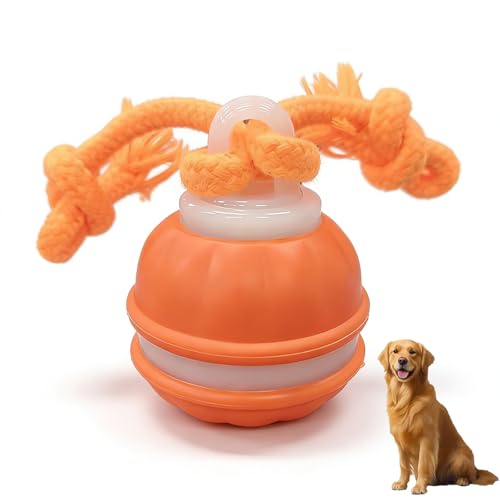 Zealburst Interactive Dog Toy Ball, 2026 Upgraded Motion Activated Rolling Ball with Squeaky Sounds, 360° Smart Automatic Moving Toy for Bored Cats & Dogs, Indoor & Outdoor Pet Exercise Toy (Orange) - color: Orange