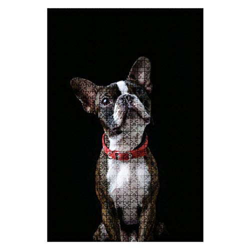 Boston Terrier Jigsaw Puzzle Wooden Boston Terrier Pure Breed Black Fun and Challenging Board Puzzles for Adult Kids Pet Dog Wall Art Gift DIY Educational Game Toys Gift Home Decor 1000 Pcs - color: Pz 362, size: 1000PCS