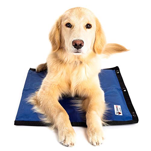 CoolerDog Hydro Cooling Mat for Dogs – Dog Cooling Mat & Cooling Pad for Hot Weather – Triple Layer Cooling with Ice Sheet & Water Cushion (Small/Medium 23" x 18") - size: Standard - 1 Pack