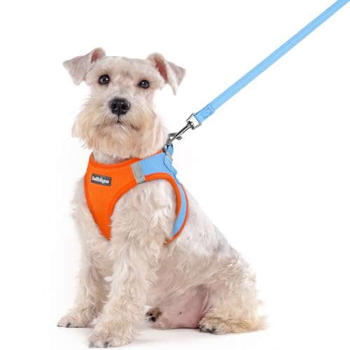 rabbitgoo Dog Harness Medium Sized and Leash Set, Step in Soft Light Puppy Vest, Breathable Mesh Pet Harness, Reflective for Safe Easy Walking, Blue & Orange XXL - color: Blue & Orange, size: Xxl (chest: 21.6 - 23.7")