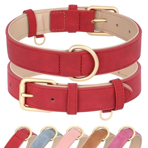 Didog Soft Padded PU Leather Dog Collar, Adjustable Dog Collars for Small Dogs with Durable Metal Buckle and D Ring, Red,S - color: Red, size: S: Fit Neck 10-13"(8-14lbs)