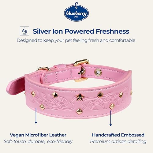 Blueberry Pet Premium Embossed Pink Glam Silver-Powered Freshness Microfiber Leather Dog Collar with Gold Studs - color: Pink, size: Small