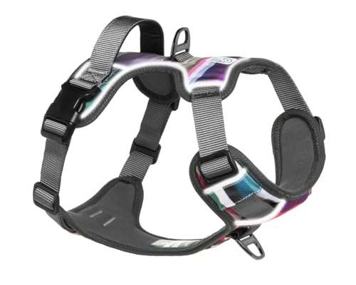 Embark Adventure Small Dog Harness – No-Pull, Reflective Trim, Military-Grade Nylon, Front Clip with Gel-Lined Handle, Soft & Padded - color: Baja, size: S
