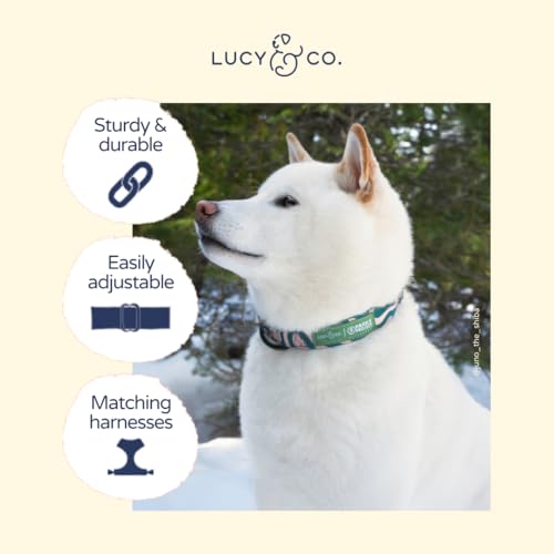 Lucy & Co. x Parks Project Geyser Dog Collar, Adjustable Durable Dog Collar with Cute Print, Small - color: Geyser, size: Small