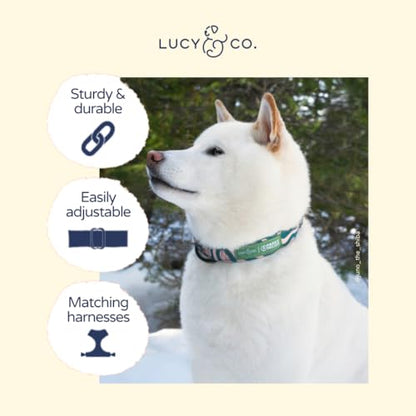 Lucy & Co. x Parks Project Geyser Dog Collar, Adjustable Durable Dog Collar with Cute Print, Small - color: Geyser, size: Small