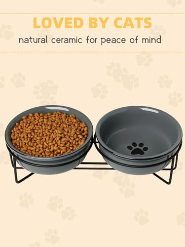 GDCZ Ceramics Raised Cat Bowls with Heighten Metal Stand,15 Ounces (Grey) - color: Grey