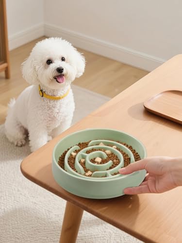 Ceramic Slow Feeder Dog Bowl,1.5 Cups Pet Slow Feeder for Small and Medium Breed,Puzzle Dog Food Dish,Anti-Gulping,Stop Bloat,Preventing Choking(Green) - color: Green