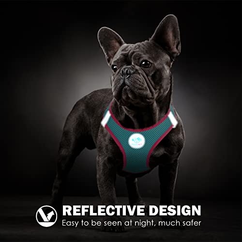 PHOEPET Step-in Dog Harness,Reflective Adjustable Dog Vest Harness, Soft Pet Walking Jacket with 2 Metal Leash Hooks for Dog and Cat(Mint Green Base & Pink Straps,L) - color: Mint Green Base & Pink Straps, size: L (Neck: 12-13.5”,Chest: 16-18”)
