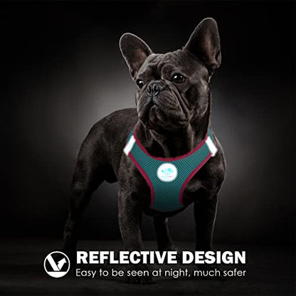 PHOEPET Step-in Dog Harness,Reflective Adjustable Dog Vest Harness, Soft Pet Walking Jacket with 2 Metal Leash Hooks for Dog and Cat(Mint Green Base & Pink Straps,S) - color: Mint Green Base & Pink Straps, size: S (Neck: 10-11”,Chest: 13-14.5”)