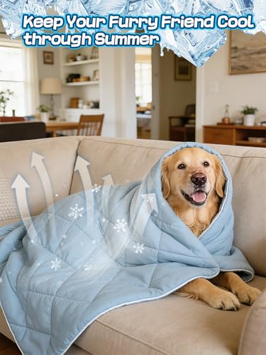 40x60in Large Cooling Blanket for Dogs - Machine Washable Soft Blanket with Q-MAX>0.4, Fits Medium Large Dogs, Summer Cooling Mat for Dog Kennel Car Seat Indoor Furniture Couch Sofa Protector - size: 40x60in
