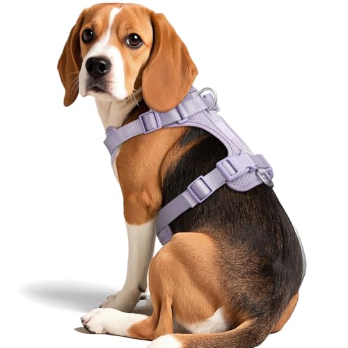 Dog Harness Medium Sized, Pet Vest with Front Clip, Adjustable Puppy Harness with 3 Fast Release Buckles[Easy to Put on & Take Off] (Lilac, S) - color: Lilac, size: S: Neck=14"-18.5"/Chest=13"-24"