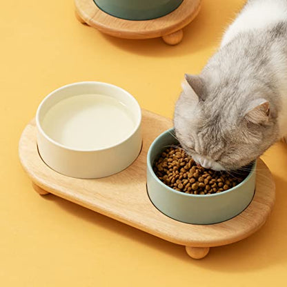Havniva Raised Cat Bowls Water Bowl 5.1” Elevated Ceramic Cat Food and Water Bowl Whisker Friendly Pet Food Bowls for Indoor Cats, Wide Cat Water Dish Prevent Whisker Fatigue Non Slip Cat Feeder - color: 2 x Bowl + Stand - Light Green