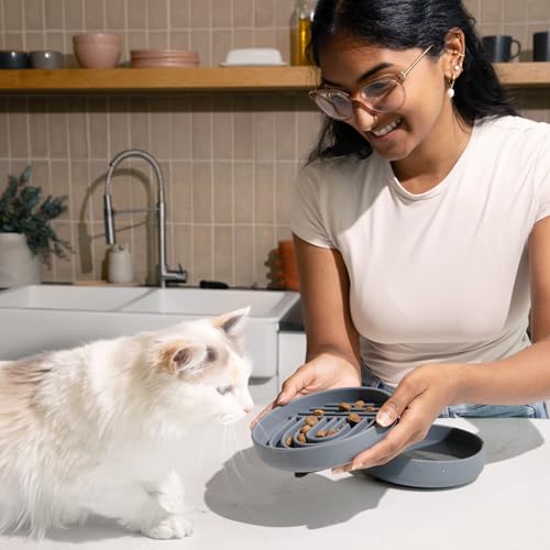 Should We Go? Slow Feeder for Dogs & Cats, The Slowdown Bowl Silicone Slow Eating Mealtime Solution with Modern Lick Mat Design, Reduces Gulping, Fits 1 Cup, 6” Across x 1.25” Tall, Small-Charcoal - color: Charcoal - Rainbow Design, size: Small (6” Across