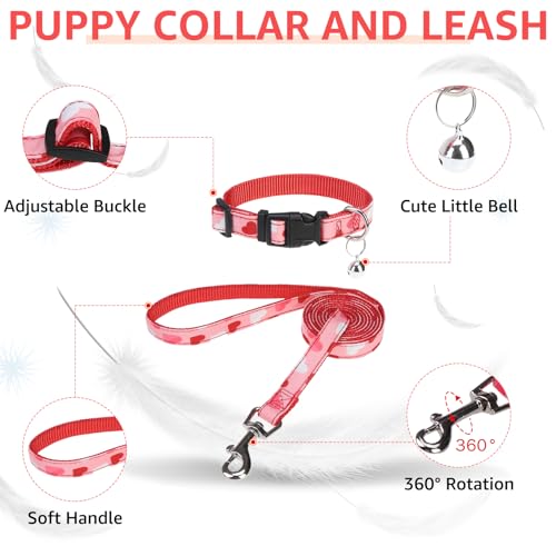 SCENEREAL Valentines Dog Harness Collar and Leash Set, Step in No Pull Soft Mesh Pet Harnesses for Small Medium Dogs Puppy Cats, No Chock Reflective Vest Harness - color: Pink Heart, size: M: Chest Girth: 16"-18"