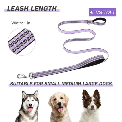 Hikiko Double Handle Traffic Dog Leash Reflective Training Walking Lead for Medium and Large Dogs (Lavender,4FT) - color: Lavender, size: 1 in x 4 ft