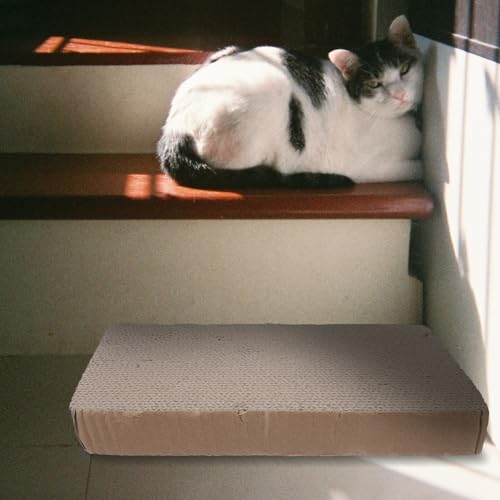 PRETYZOOM Replaceable Cat Scratching Board Pad, Sturdy Corrugated Cardboard Scratcher, Round Replacement for Indoor Kitten Scratcher, Reusable Wear-Resistant Scratch Pad for Cat Furniture