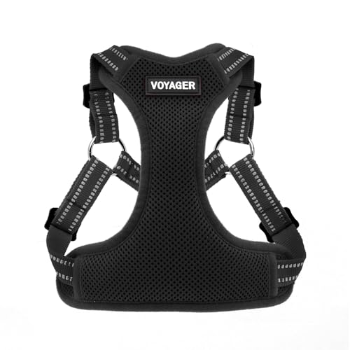 Best Pet Supplies Voyager Adjustable Step-In Flex Breathable Mesh Dog Harness for Small Medium Large Dogs (Black), XL - color: Harness (Black), size: XL
