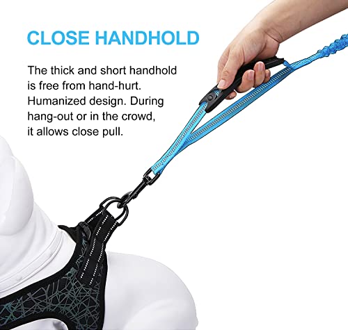 6FT Highly Reflective Heavy Duty Elastic Bungee Medium and Large Dog Leash Shock Absorbing with Comfortable Padded Handle and Traffic Handle Suitable for Training Light Blue - color: Light Blue