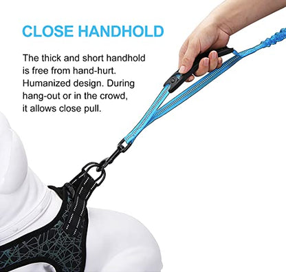 6FT Highly Reflective Heavy Duty Elastic Bungee Medium and Large Dog Leash Shock Absorbing with Comfortable Padded Handle and Traffic Handle Suitable for Training Light Blue - color: Light Blue
