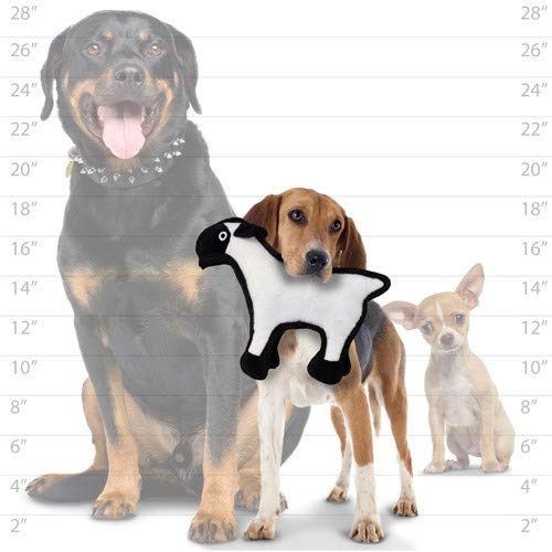 TUFFY World’s Tuffest Soft Dog Toy – Barnyard JR Series, Sheep, 2 Pack - color: Sheep, size: Jr 2 Pack