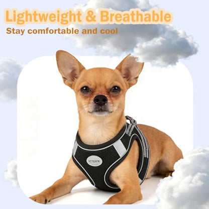 Small Dog Harness and Leash Set, Step-in Puppy Vest with Breathable Soft Padded Mesh, Walking Reflective Pet Harness for Small Medium Dogs - color: Black, size: Medium (Chest: 12" - 15.5")