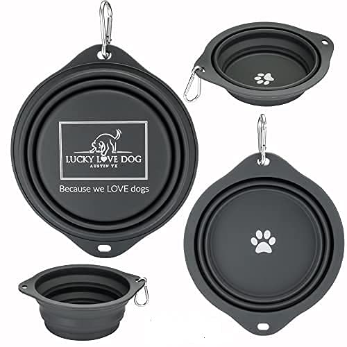 Lucky Love Dog, Collapsible Dog Bowl Compact Travel Water Dog Dish, Steel - color: Steel