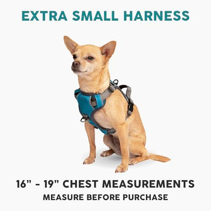 Embark Adventure Dog Harness for Small, Medium & Large Dogs – No Pull, Reflective Trim, Military Grade Nylon, 2 Leash Clips, Gel-Lined Handle, Soft Padded - color: Blue, size: XS