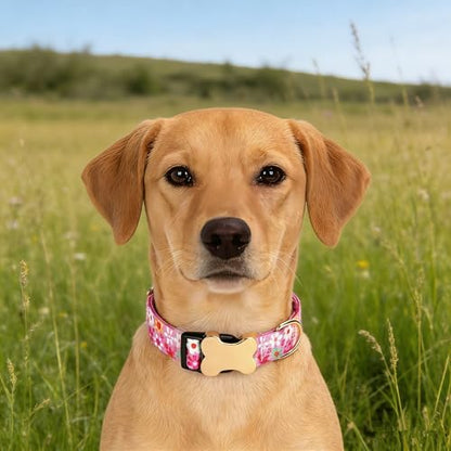 Personalized Custom Customized Silent No Jingle Dog Collar with Engraved ID Dog Name Phone Number/Dog Collars for Puppy X-Small Small Medium Large X-Large Boy Girl Dogs-Pink Flower-XS - color: 17 Pink Flower, size: X-Small (0.6" *7.8"-11.8")