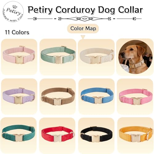 Cotton Fibric Dog Collar with High Grade Metal Buckle, for Small Dogs(Light Green,Small:10-15") - color: Lt Green, size: Small