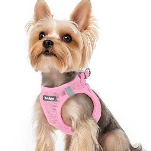 rabbitgoo Small Dog Harness, Step-in Soft Mesh Puppy Vest with Safety Buckle, Breathable Reflective Pet Harness for Small Sized Dogs, Light Pink XS - color: Light Pink, size: Xs(chest:13.3"-15.5")