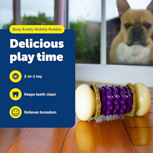 PetSafe Busy Buddy Nobbly Nubbly Treat Holding Dog Toy Strong Chewers Large - size: Large, style: Nobbly Nubbly