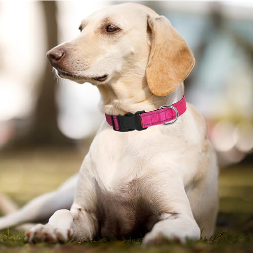 Dog Collars Adjustable for Small Dogs,Heavy Duty Waterproof Dog Collar with Quick Release Buckle,Girl Boy Female Male Reflective Nylon Dog Collar with Soft Neoprene Padded,S,Rose - color: Rose, size: Small