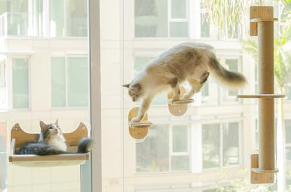 4-in-1 Window & Wall Mount Cat Wall Shelves – Hammock, Scratching Post & Perch | Fits up to 40 lbs | Space-Saving Pet Furniture for Windows, Glass & Drywall | Modern Wood Cat Shelf Set