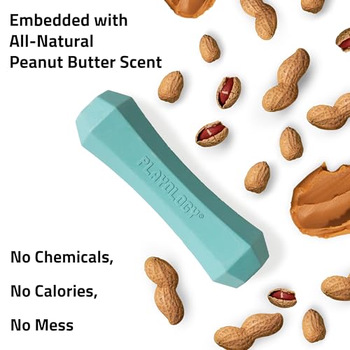 Playology Dog Toys | Squeaky Chew Stick for Dogs, Value 2-Pack | Peanut Butter Scented Medium Fetch Toy | Squeaky Dog Chew Toy - size: Medium (VALUE 2-Pack), style: Peanut Butter