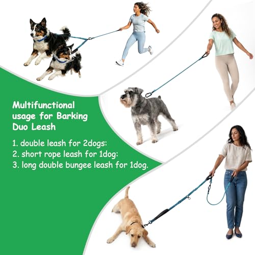Double Dog Leash No Tangle – Dual Dog Leash for 2 Dogs with Shock Absorbing Bungee, 360° Swivel, Reflective Safety, Heavy Duty for Medium & Large Dogs (Carnation Red) - color: Carnation Red