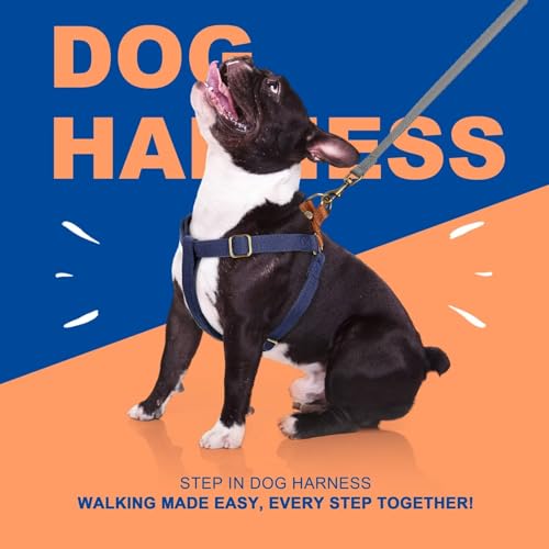 Didog Step in Dog Harness with Metal Buckles, Freedom Nylon Dog Halter Vests for Small Dogs Easy Walking Training(S:Chest 13-22", Dark Blue) - color: Dark Blue, size: S: Chest 14-22", Fit 7-18 lbs