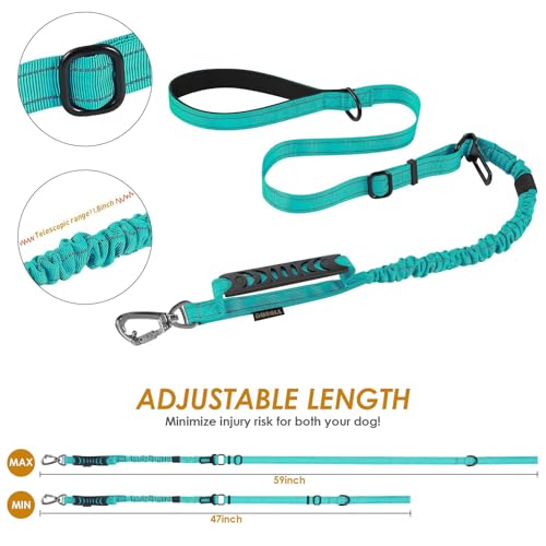 AUBELL Tactical Dog Leash Heavy Duty,4-6ft Reflective Strong No Pull Bungee Leash for Medium Large Dogs with Comfortable Padded Double Handle,Car Seat Belt,360 Degree Rotating Carabiner,Teal - color: M/L-Teal(4-6FT)