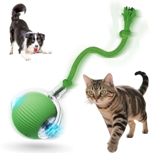 Jiexily Interactive Cat Toys for Indoor Cats, 2025 New Motion Activated Cat Balls with 360° Smart Automatic Rolling Moving for Bored Pet Cats Dogs (Green) - color: Green