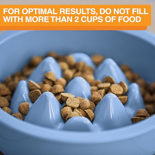 The Niner Slow Feed Bowl - Raised Peaks Slow Down Pets Eating - Fits Elevated Feeders Including Neater Feeder Large Sizes - Gentle on Teeth and Gums - Holds up to 2 Cups (Blue) - color: Blue