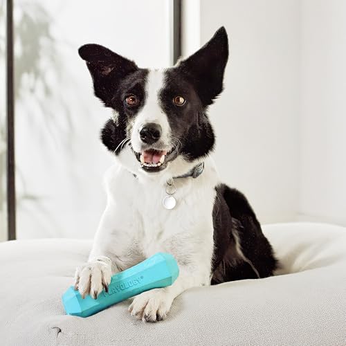 Playology Dog Toys | Squeaky Chew Stick for Large Dogs | Peanut Butter Scented Jumbo Fetch Toy | Squeaky Dog Chew Toy - size: Jumbo, style: Peanut Butter