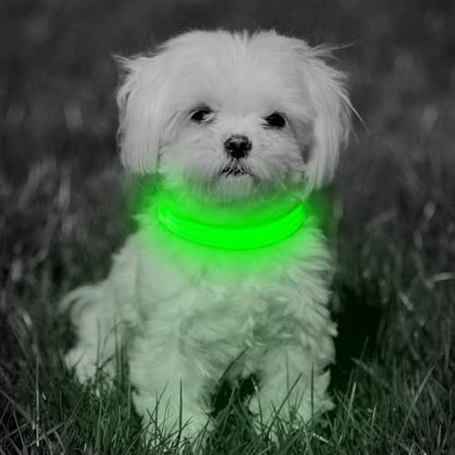 BSEEN Light Up Dog Collars - Glowing LED Dog Collar Rechargeable Puppy Collar for Small Dogs & Cats, Safety Dog Lights for Night Walking (Green) - color: Green