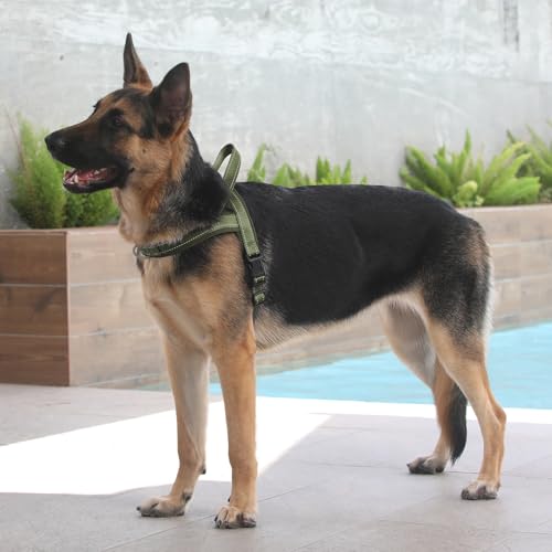 Plutus Pet No Pull Dog Harness with Breathable Mesh Padded, Adjustable Reflective Escape Proof Dog Harness, Quick Fit Dog Vest Harness for Small Medium Large Dogs(L, Ranger Green) - color: Ranger Green, size: L: chest 25.2"-32.3"