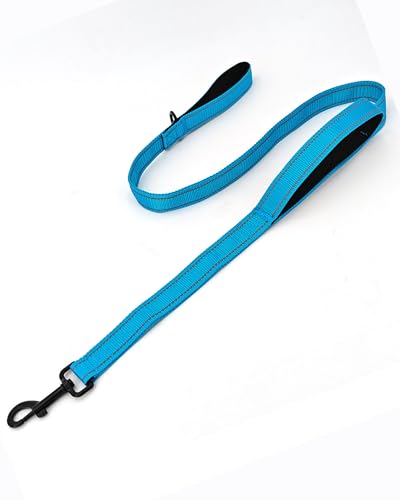 Solmoony 4FT Blue Strong Dog Leash with 2 Padded Handles, Traffic Handle Extra Control, Double-Sided Reflective Walking Lead for Small Medium and Large Dogs(Blue, 4FT) - color: Blue, size: 4FT
